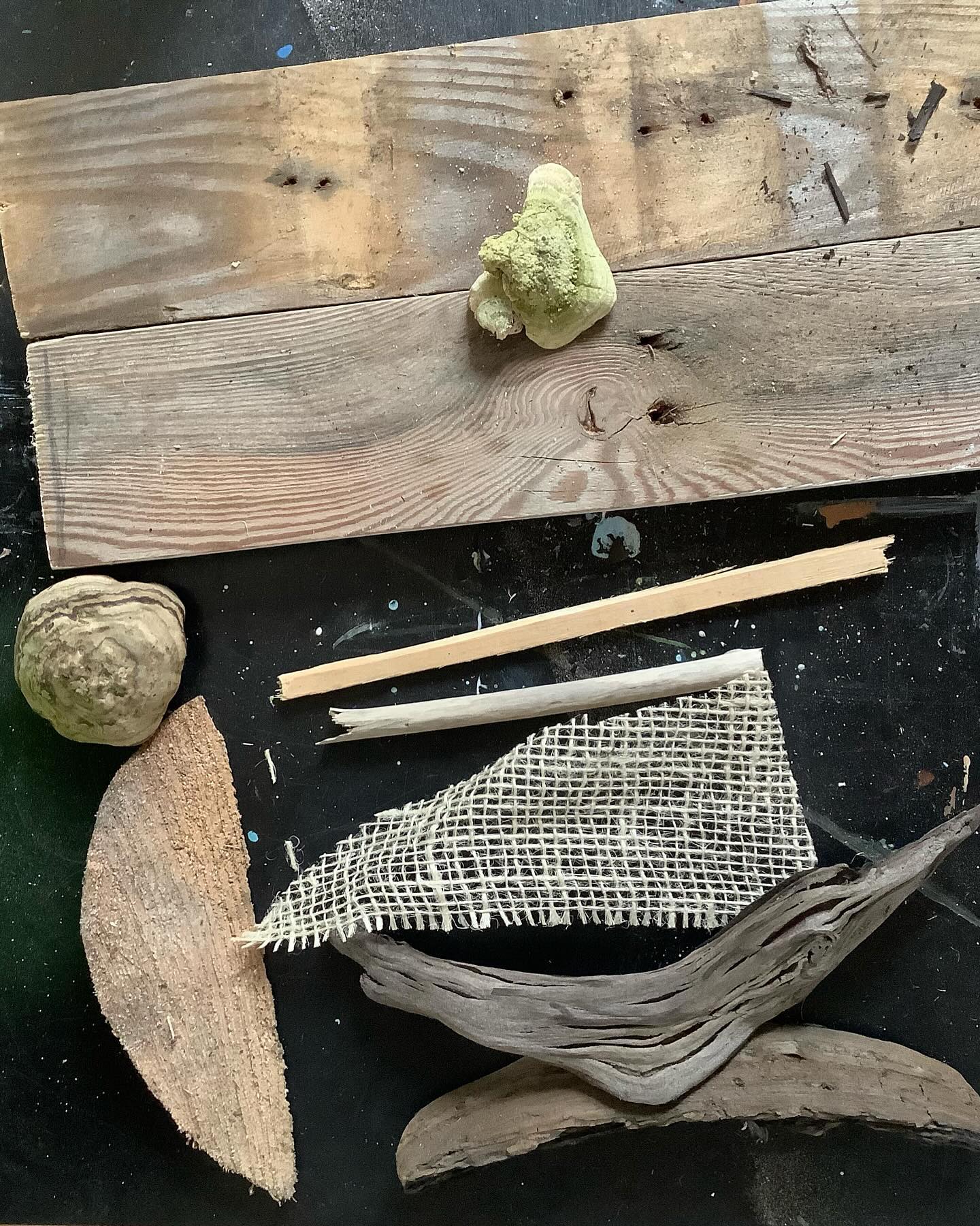 When the Wind Knows the Way